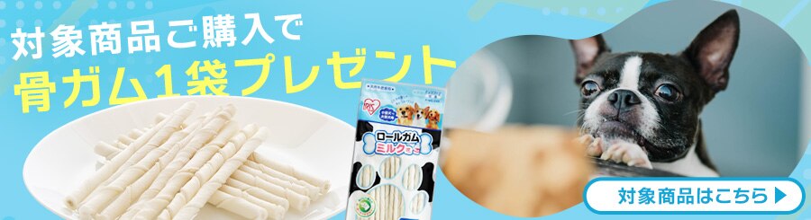 ���K�����܂��t��