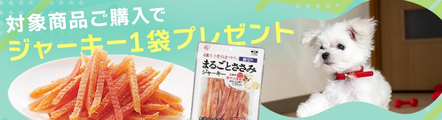 �W���[�L�[���܂��t��