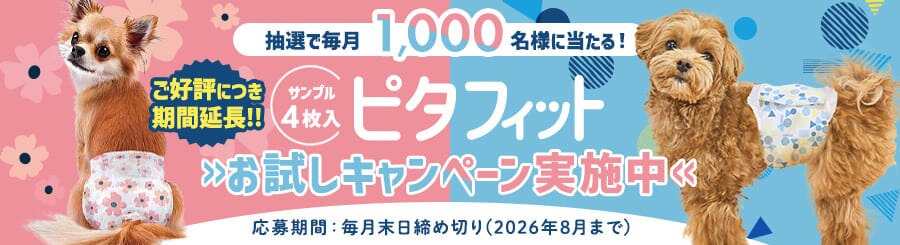 ���I�Ŗ���1000���l�ɓ�����@�T���v��4������s�^�t�B�b�g�������L�����y�[�����{���@������Ԗ����������ߐ؂� 2026�N2���܂�