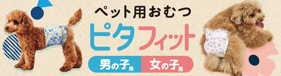 �y�b�g�V�[�c��������