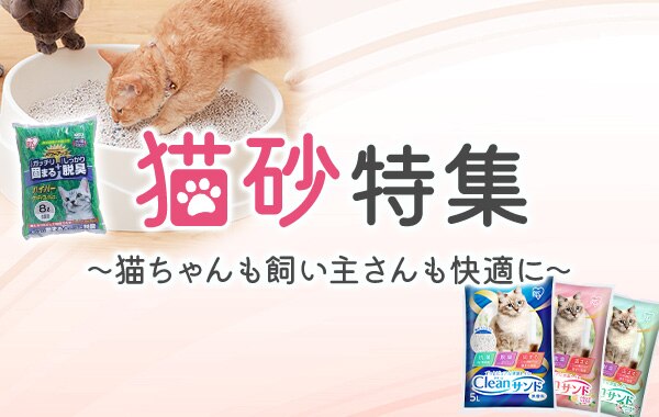 �L�����W