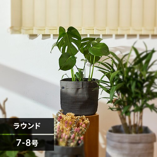 �v�����^�[ �e�L�X�^�C�� �D�z�� TXP-R25H ���E���h �I���[�u