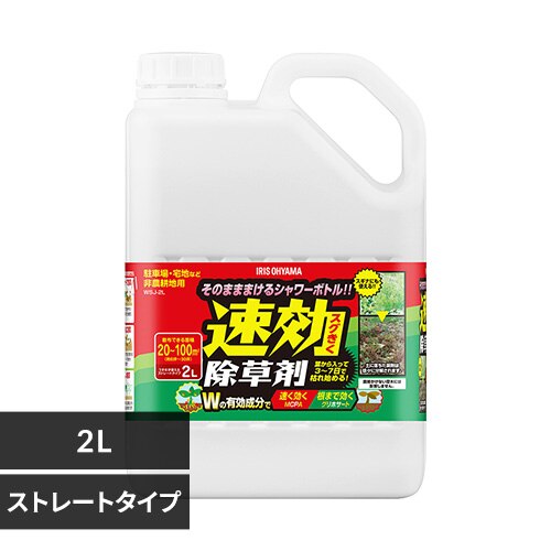 ����������2L WSJ-2L 