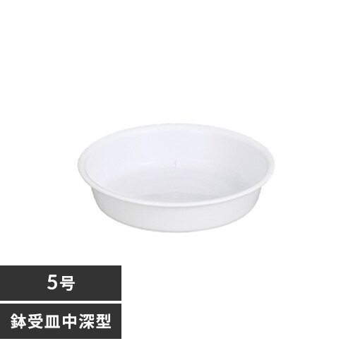 ����M ���[�^ 5�� �z���C�g