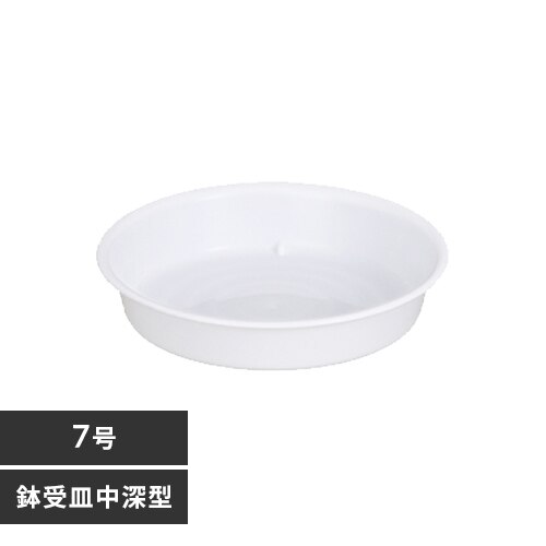 ����M ���[�^ 7�� �z���C�g