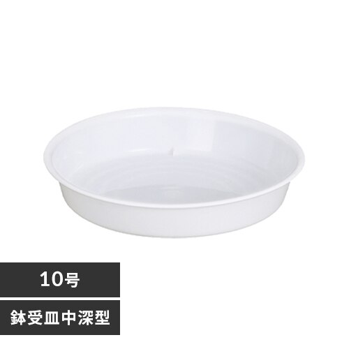 ����M ���[�^ 10�� �z���C�g