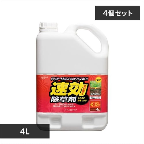 �y4�Z�b�g�z ������ 4L �X�g���[�g�^�C�v ���U���� SJS�|4L��