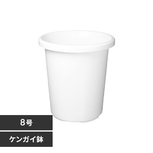 ティルトケンガイ鉢 8号 ホワイト
