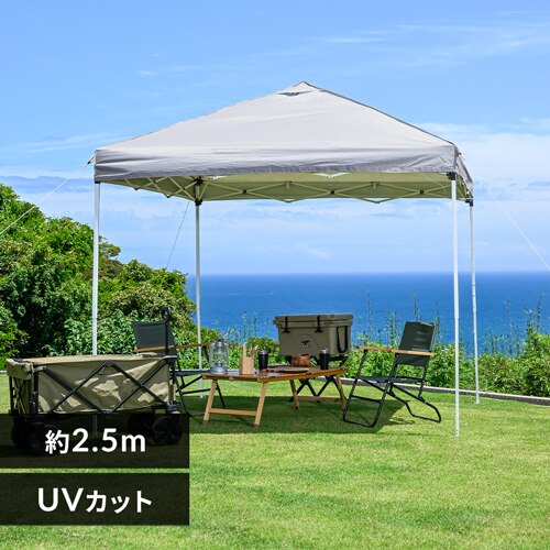 �^�[�v�e���g2.5�~2.5 �O���[�W��