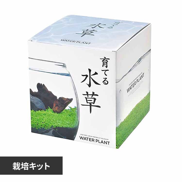 ��Ă鐅���iL�j GD-813 