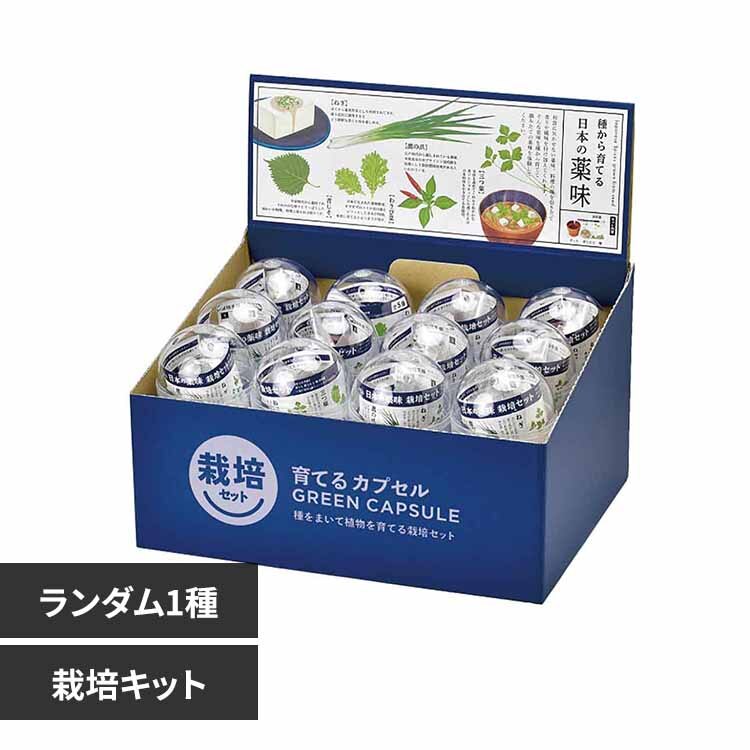 ��Ă�J�v�Z�� �� GD-926 