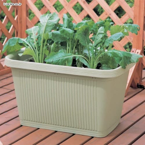 �x�W�^�u���v�����^�[�[�^650 �x�W�^�u���O���[��