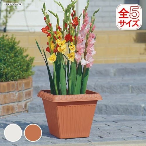 �����[�t�X�N�G�A�v�����^�[420�@�E�H�[���x�[�W��