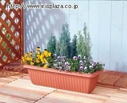 �����[�t�v�����^�[ 650 �e���R�b�^�u���E��