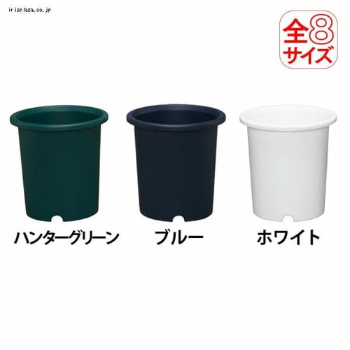 �f�B�[�|�b�g�@7���@�z���C�g