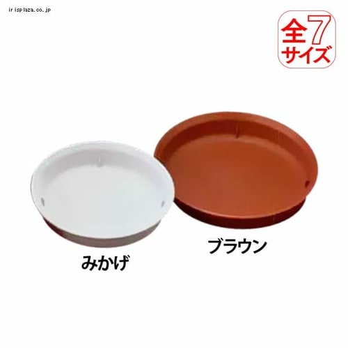 �Z�[�k����M�@8���@�u���E��