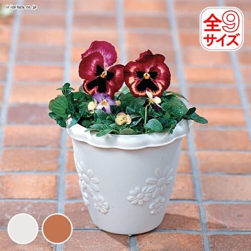 �t���[���n�C�|�b�g�@�E�H�[���x�[�W�� 10��