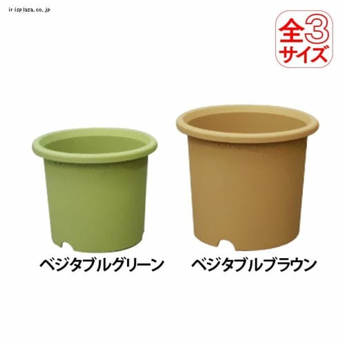 �x�W�^�u���|�b�g�@8���@�x�W�^�u���O���[��