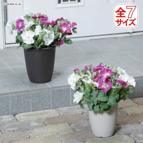 �a�ʒ����@5���@���y