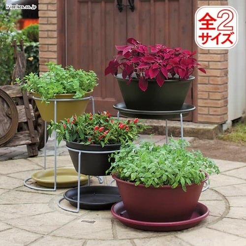 ���C�Y�@�{�[���v�����^�[�@450�@�n�[�u�O���[��