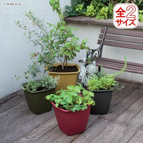 ���C�Y�@�X�N�G�A�|�b�g  300  �Z�T�~�O���[