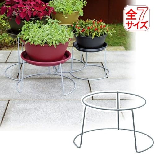 �K�[�f���A�����W�X�^���h ASC-1530 �V���o�[