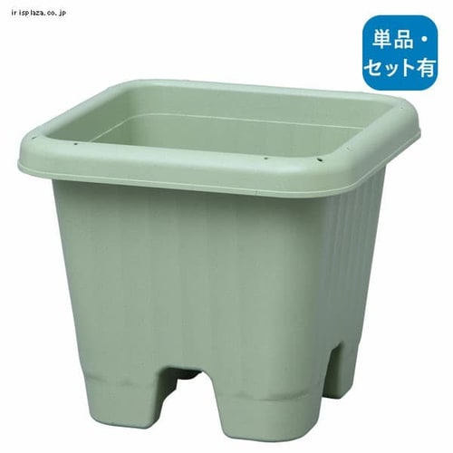 ��x���z���_�[6�{�t���I��y3�Z�b�g�z�G�A�[�X�N�G�A�v�����^�[ 300 �x�W�^�u���O���[��