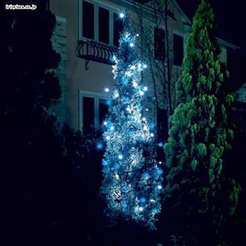 LED�C���~�l�[�V�������C�g�X�g���[�g�@6.4m �z���C�g/�u���[