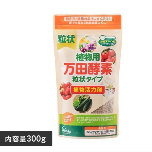 �A���p���c�y�f ����^�C�v