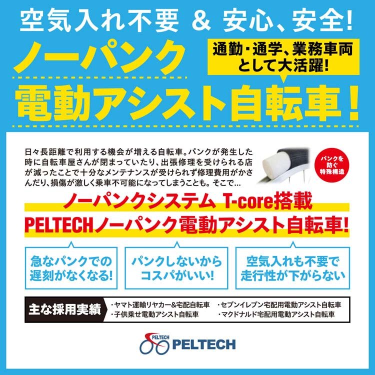 PELTECH ノーパンク 電動アシスト自転車 20型アルミ折り畳みフル装備 8Ah【簡易組立必要品】 TDN-212LN 【時間指定不可】【代引不可】【同梱不可】【プラザセレクト】