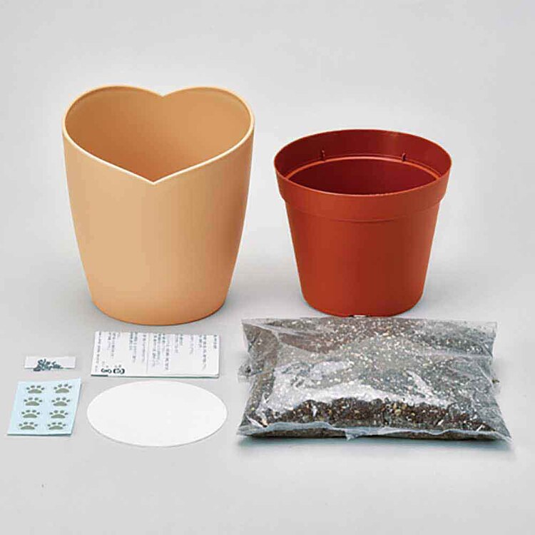 西洋マタタビ栽培キット キャットニップ GD-1027 【プラザセレクト】