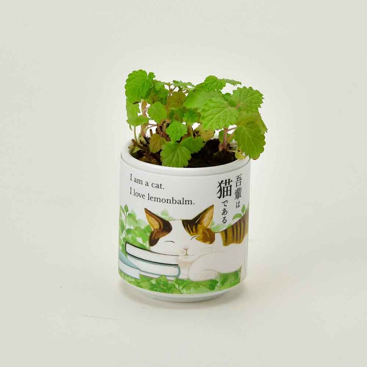 お芽でたおちょこ 吾輩猫 GD-102801 GD-102802 GD-102803 GD-102804 【プラザセレクト】