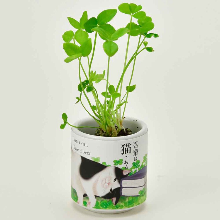 【4種セット】お芽でたおちょこ 吾輩猫（ミント・レモンバーム・ワイルドストロベリー・クローバー） 【プラザセレクト】