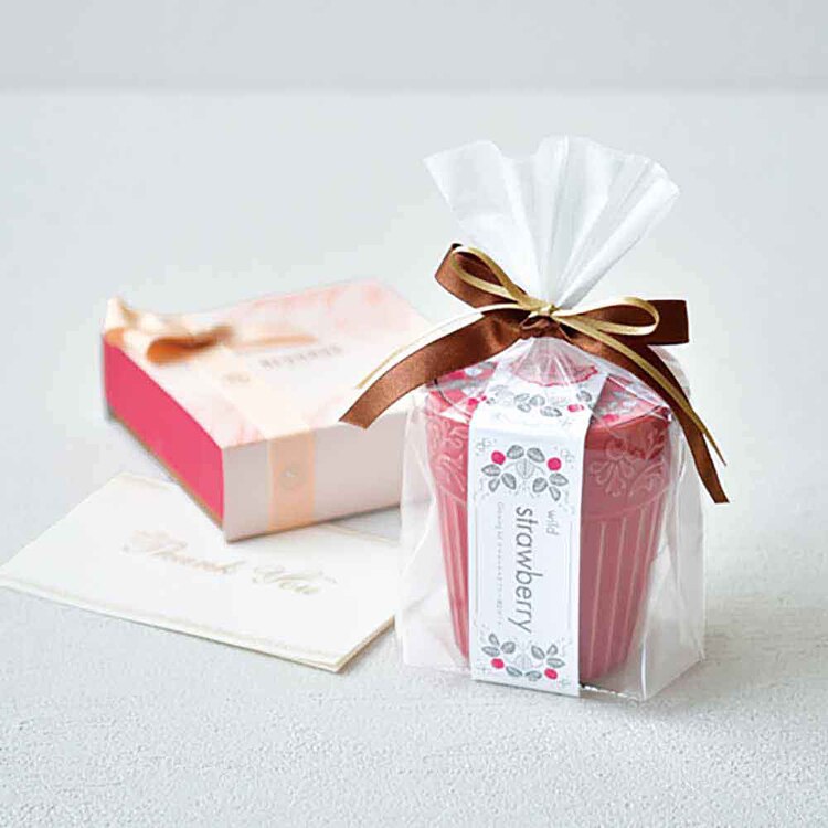 【3種セット】グレイス ガーデン（ワイルドストロベリー・ミニヒマワリ・四つ葉のクローバー） 【プラザセレクト】