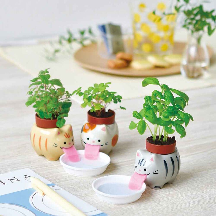 ペロポンアニマルズ GD-95001 GD-95002 GD-95003 /ペロポンキャッツ GD-94901 GD-94902 GD-94903 【プラザセレクト】