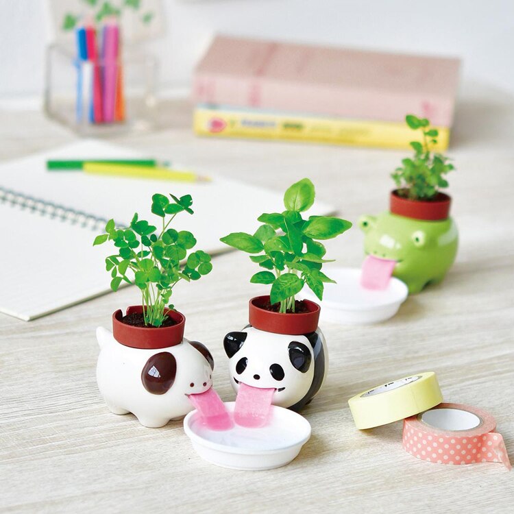 【3種セット】ペロポンアニマルズ/ペロポンキャッツ 【プラザセレクト】