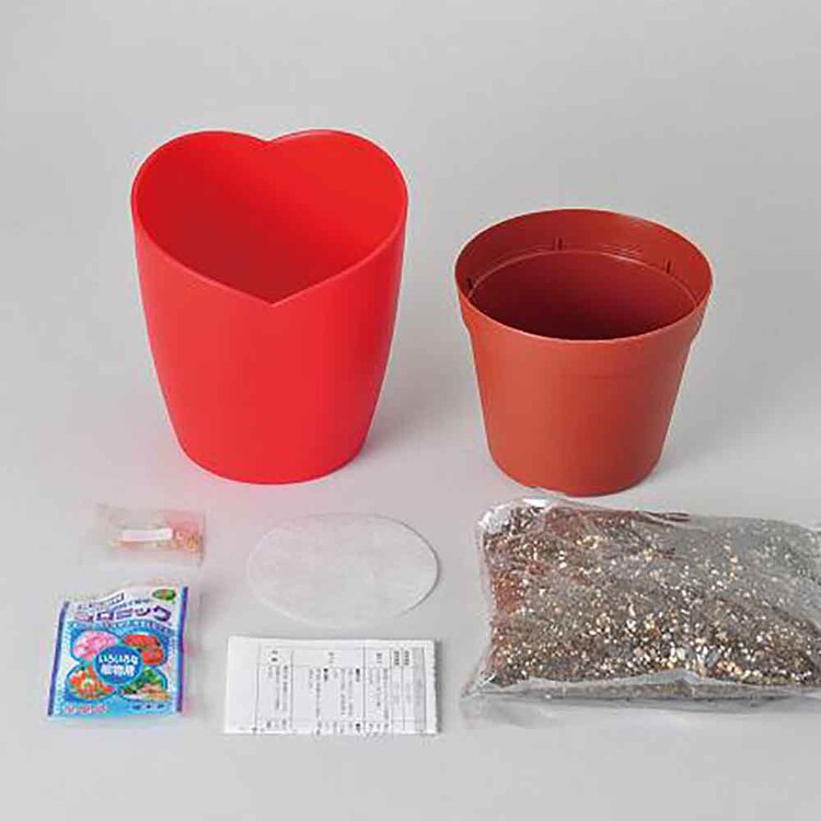 ハートマト栽培キット GD-1032 【プラザセレクト】