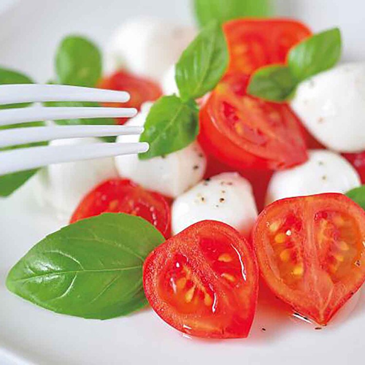 ハートマト栽培キット GD-1032 【プラザセレクト】