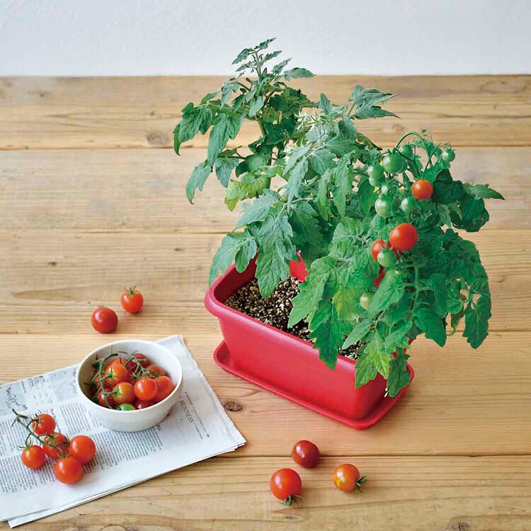 エンジョイプランター GD-1044 GD-93101 GD-93102 GD-93201 【プラザセレクト】