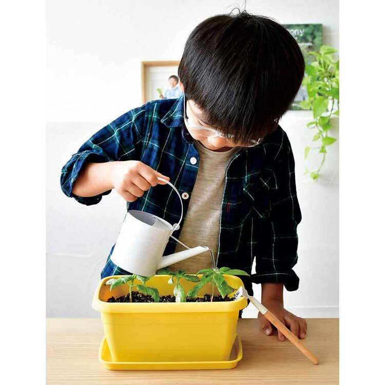 【4種セット】エンジョイプランター(イチゴ・えだまめ・ミニトマト・ミニヒマワリ) 【プラザセレクト】