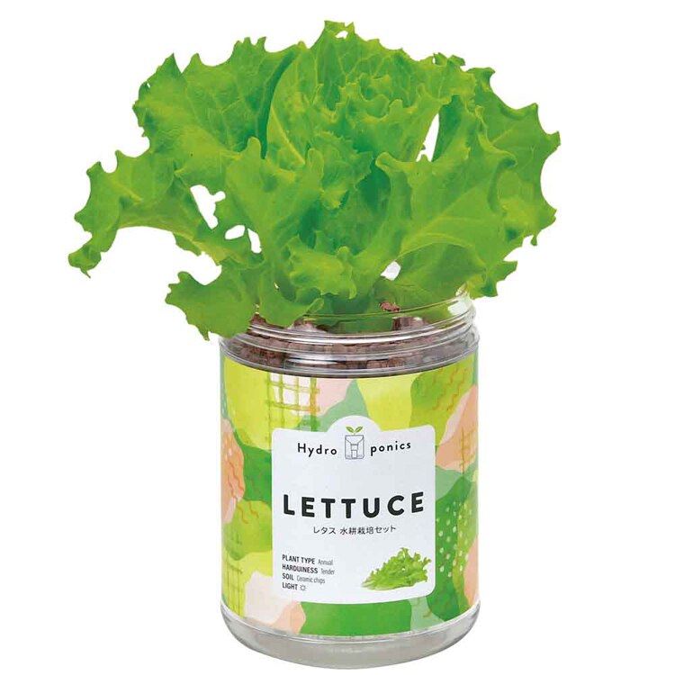 グリーンペット GD-100201  GD-100202  GD-100203  GD-100204  GD-100205 【プラザセレクト】