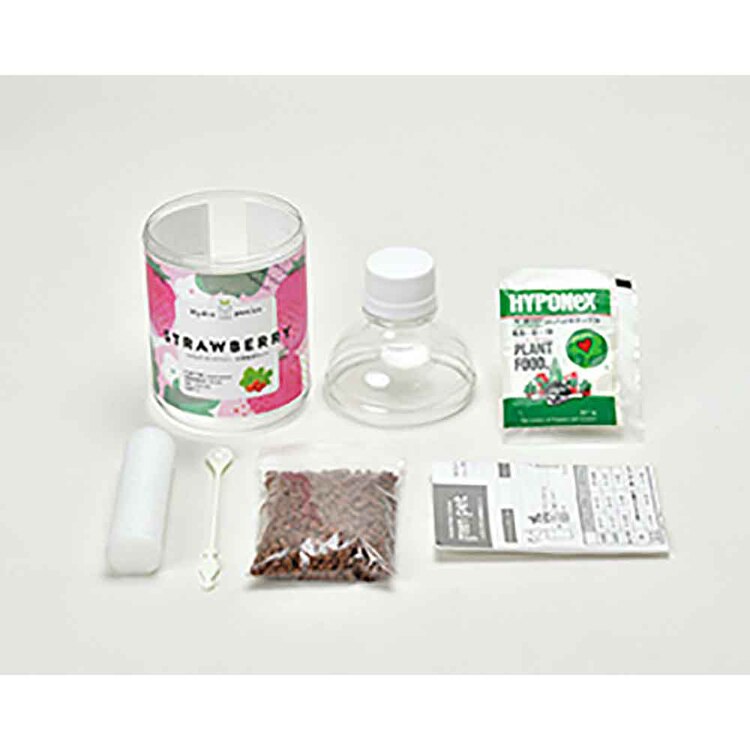 【5種セット】グリーンペット（ミント・バジル・ワイルドストロベリー・レタス・ミニトマト） 【プラザセレクト】