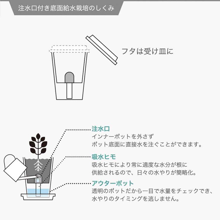 フレッシュフィール GD-81901 GD-81902 GD-81903 GD-81904 GD-81906 【プラザセレクト】