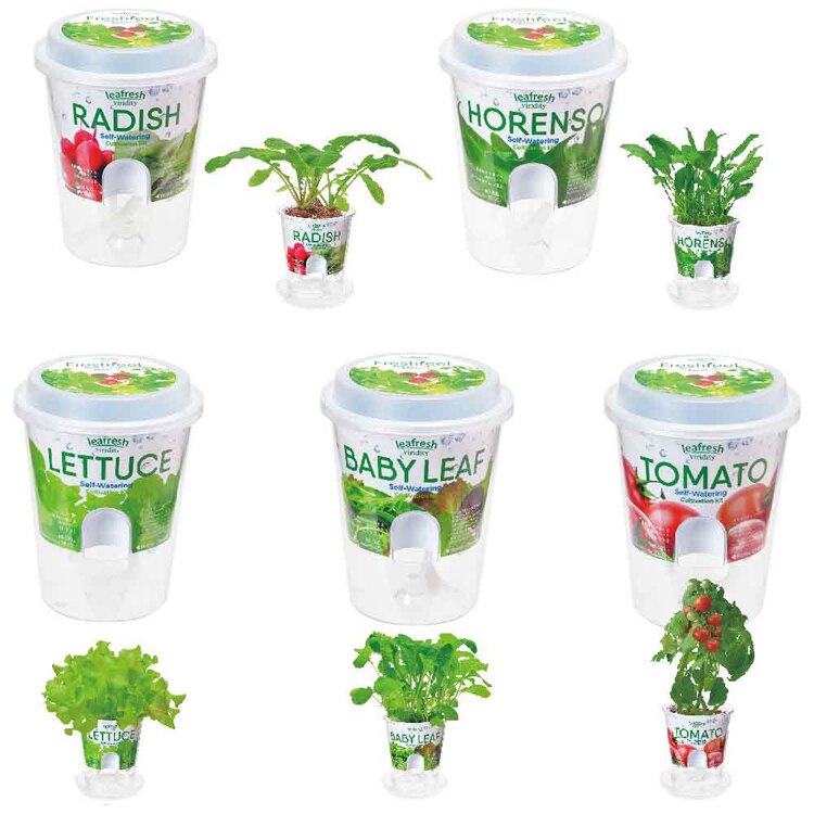 フレッシュフィール GD-81901 GD-81902 GD-81903 GD-81904 GD-81906 【プラザセレクト】