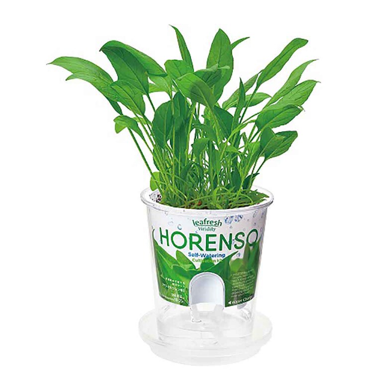 フレッシュフィール GD-81901 GD-81902 GD-81903 GD-81904 GD-81906 【プラザセレクト】