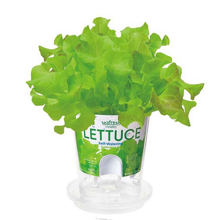 フレッシュフィール GD-81901 GD-81902 GD-81903 GD-81904 GD-81906 【プラザセレクト】