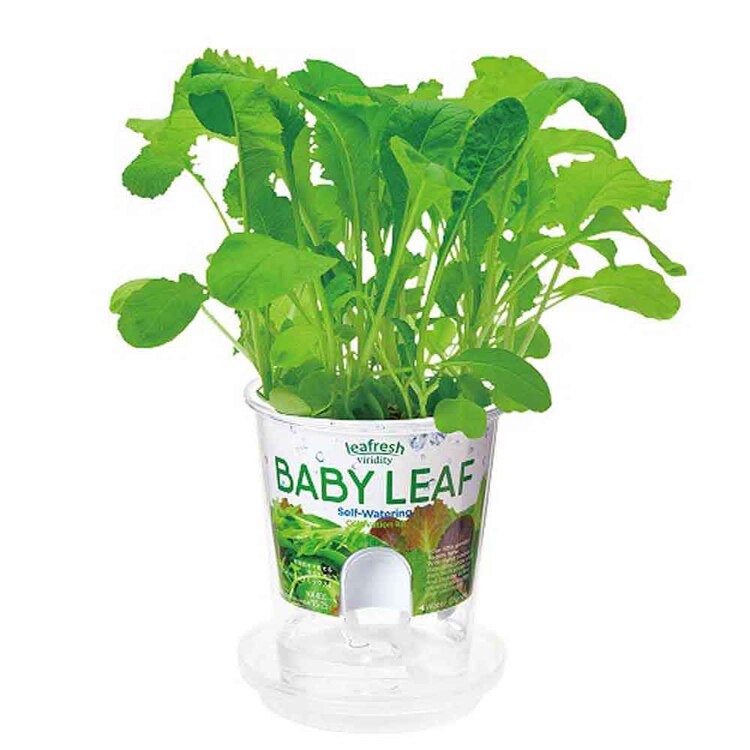 フレッシュフィール GD-81901 GD-81902 GD-81903 GD-81904 GD-81906 【プラザセレクト】