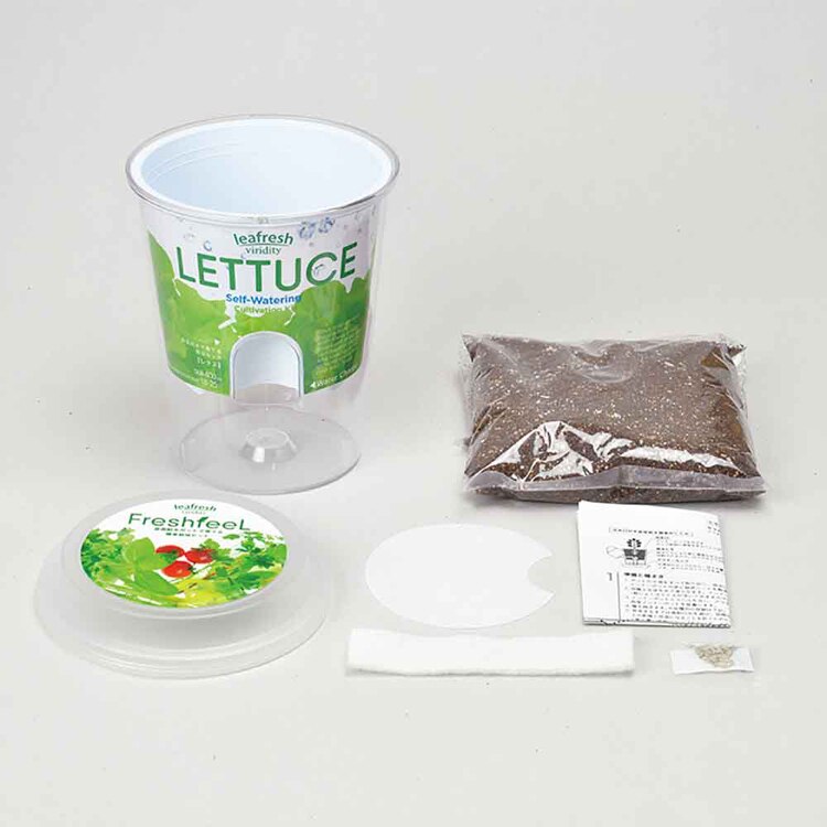 【5種セット】フレッシュフィール（ラディッシュ・サラダホウレンソウ・レタス・ベビーリーフミックス・ミニトマト） 【プラザセレクト】