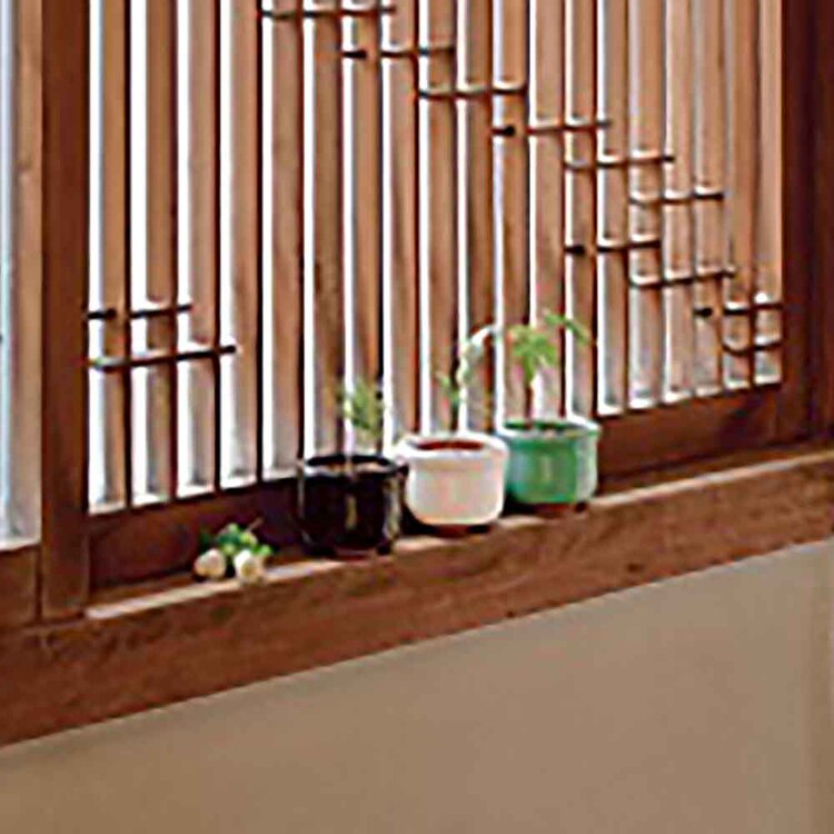 HACO MAME 盆栽栽培セット GD-96501 GD-96502 GD-96504 【プラザセレクト】