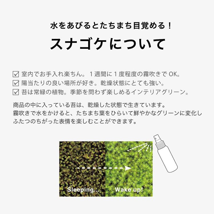 瓦盆景 KAWARA-BONKEI GD-1010 【プラザセレクト】